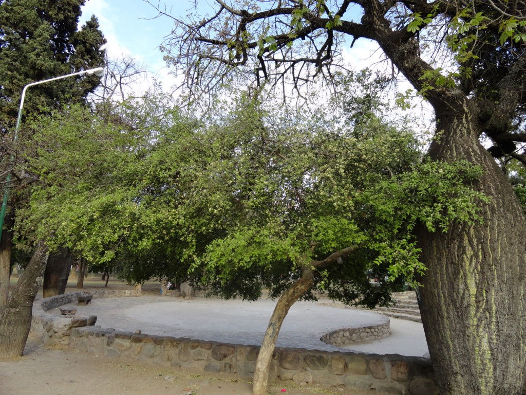 dsc002891