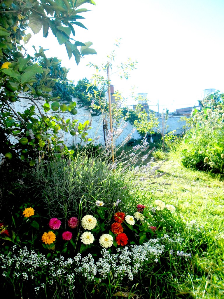 floreszinias