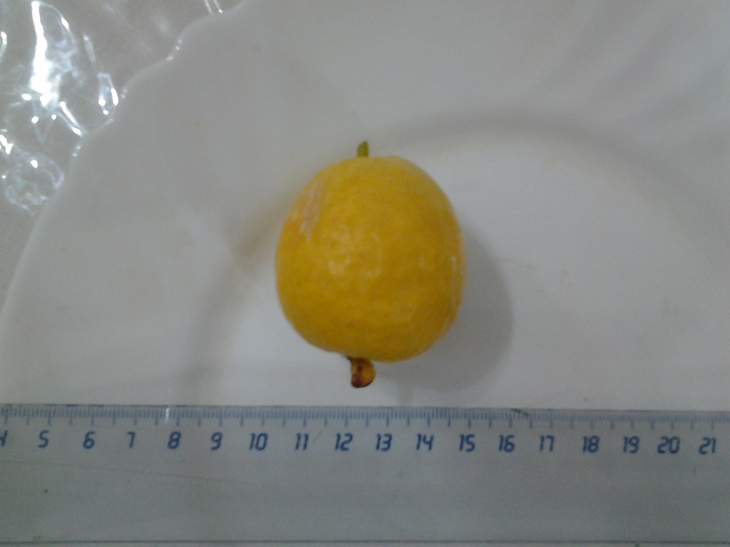 20130425_185736