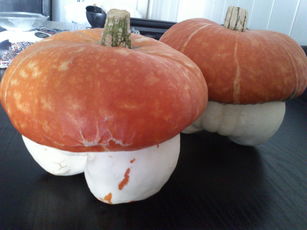 DSC_0011 Calabaza gorro turco
