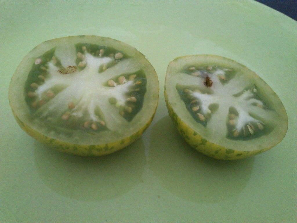 DSC_0066 Tomate green zebra (cortado)