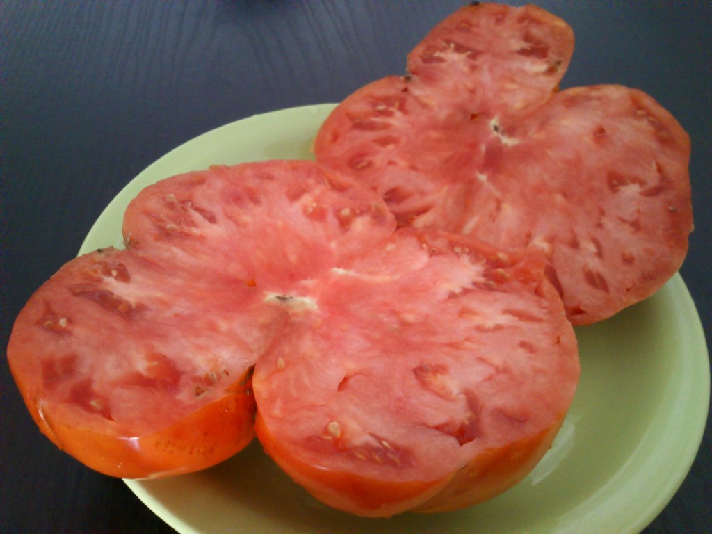 DSC_0068 Tomate gigante de Galicia (cortado)