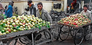 Allahabad_MG_6830 taking from mrkt 6x9@300