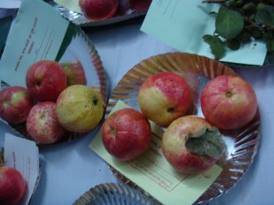 DSC03220