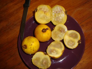 10 DSC03468