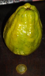 otra foto