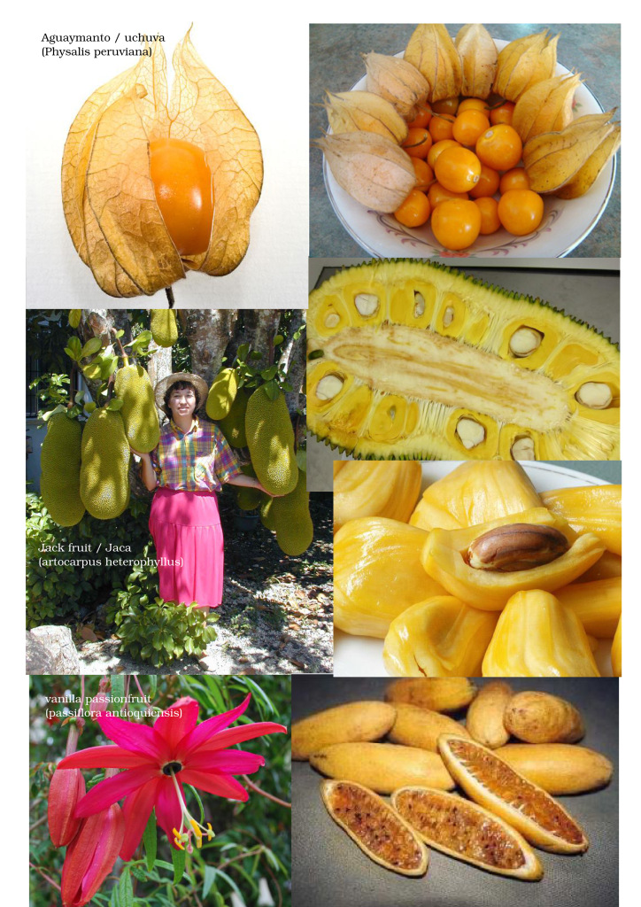 frutas_pagina13-jack