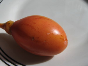 tamarillo_naranja-20140728T144503