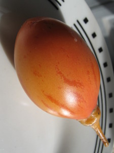 tamarillo_naranja-20140728T144515