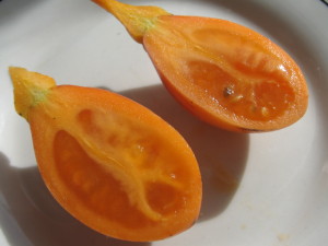 tamarillo_naranja-20140728T144800