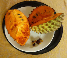 monkey apple