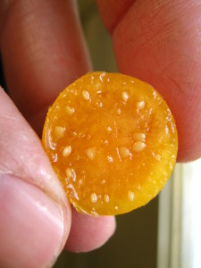 al fin probé el aguaymanto! gracias Pablo por las semillas: el sabor es muy bueno cuando está bien maduro, dulce y ácido, recuerda un poco a nísperos y naranjas, mezclados con tomate