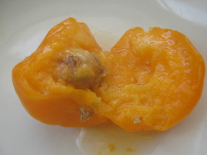 uvaia_inside_-20141230T133042