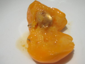 uvaia_inside_-20141230T133053