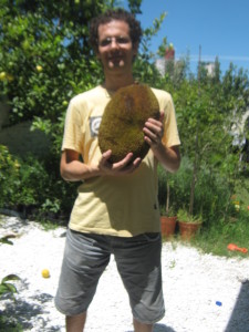 jackfruit-20150130T143822