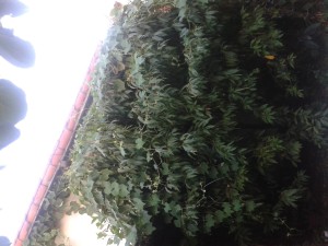 20150319_184012