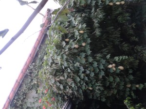 20150428_171402