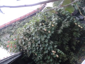 20150428_171406