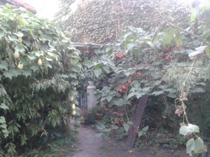 20150428_171420