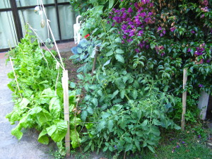 e. 30 Dic 2009 (6)
