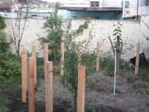 invernadero_postes-1