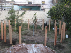 invernadero_postes-3