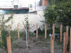 invernadero_postes