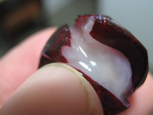 jaboticabas_id_paraguay_fruta-2