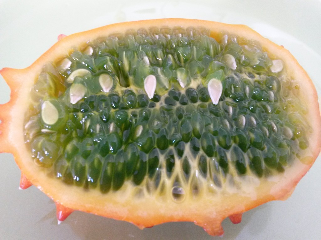 20150615_125446
