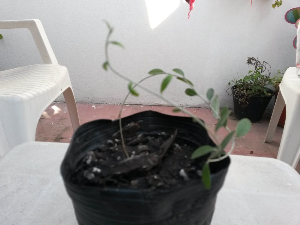 20150724_134124