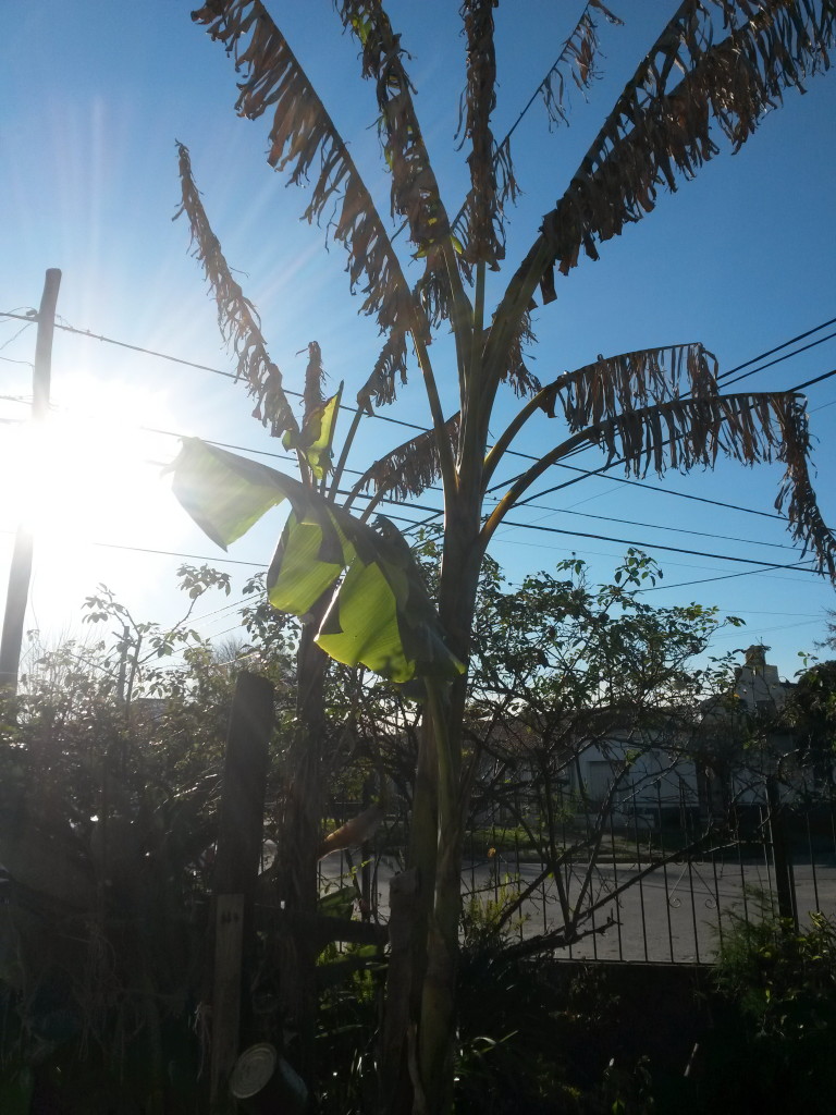 20150729_160633