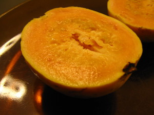 guayaba_invierno_20150803T000335.jpg