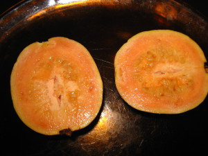 guayaba_invierno_20150803T000404.jpg