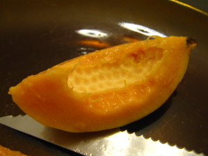 guayaba_invierno_20150803T000732.jpg