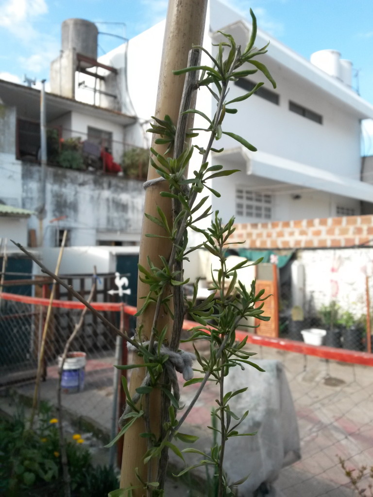 20150902_152129