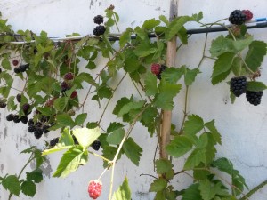 20151207_123214