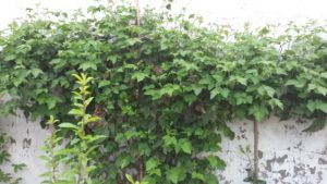 20160922_143531