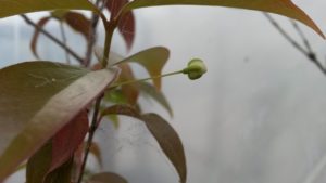 20161010_162640