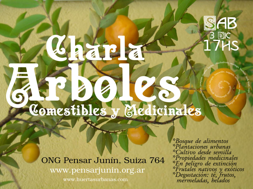 3 dic 17 hs, junin, buenos aires, argentina