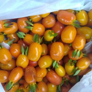 (Pack) Orange Cherry of the Rio Grande: Garden Enthusiast Pack - 50 Seeds | Save 30%!