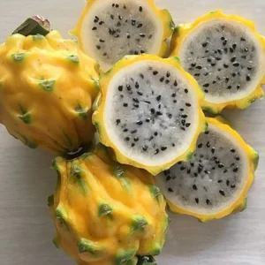 Palora Dragon Fruit (the best!)