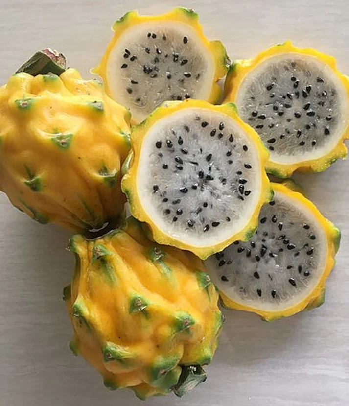Palora Dragon Fruit (the best!)