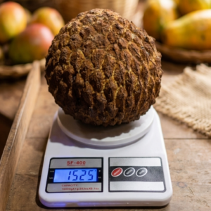 Marolo - A Bold Cerrado Annona for the Serious Collector - June Batch, On stock Now!