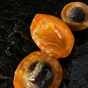 Plinia sp. “Uvaiana” Ultra-Rare Orange-Pulp Jaboticaba (July Batch, on stock!)