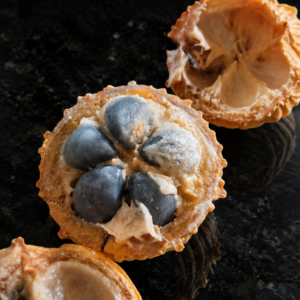 Ecclinusa ramiflora – Very Sweet Ribbed Fruit (August Pre-Sale)