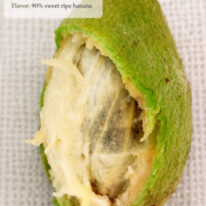Eugenia sp. “Bananinha” – Sweet Banana Flavor!!! (August Pre-Sale)