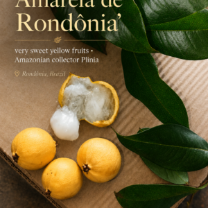 Sprouting Plinia sp. “Amarela de Rondônia” – Very Sweet, Var #1 (August Pre-Sale)