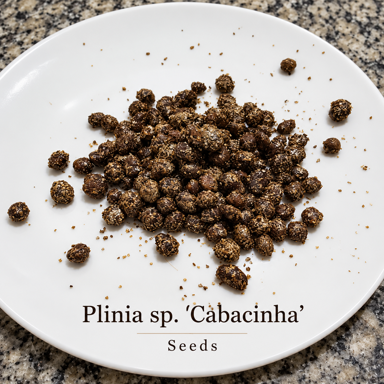 Plinia sp. “Cabacinha” — Black Navel-Group Jaboticaba from Southern Bahia original field image